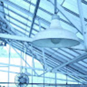 Meet your Posher, Curtis